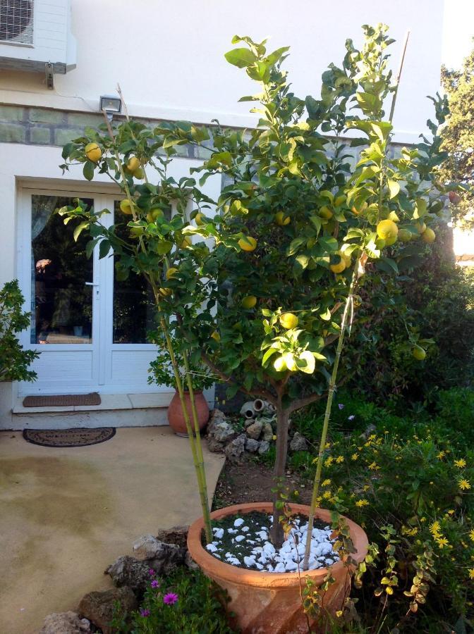A 40 M² Proche Du Jardin Appartement