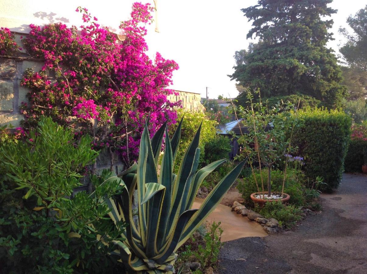 Appartement A 40 M² Proche Du Jardin